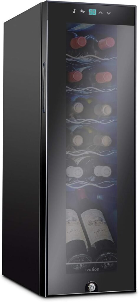 Best 12 bottle wine fridge