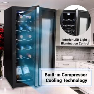 The Best 12 bottle Wine Fridge